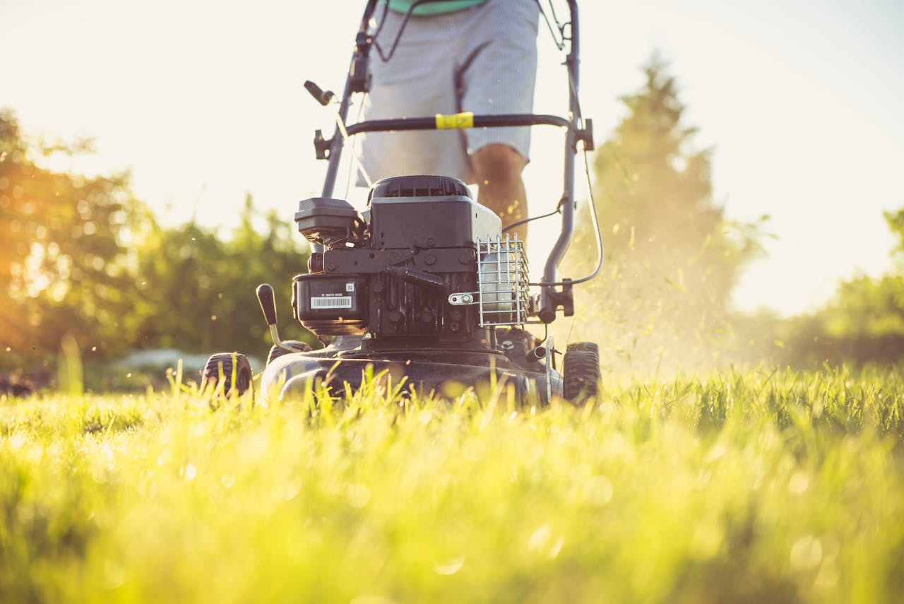 Person mowing a lawn at golden hour